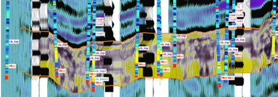Seismic Well Tie Workflow